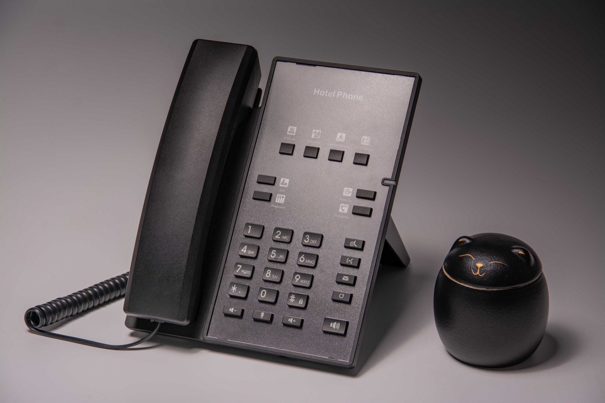 Отельный телефон Fanvil H1 H1PBPSU